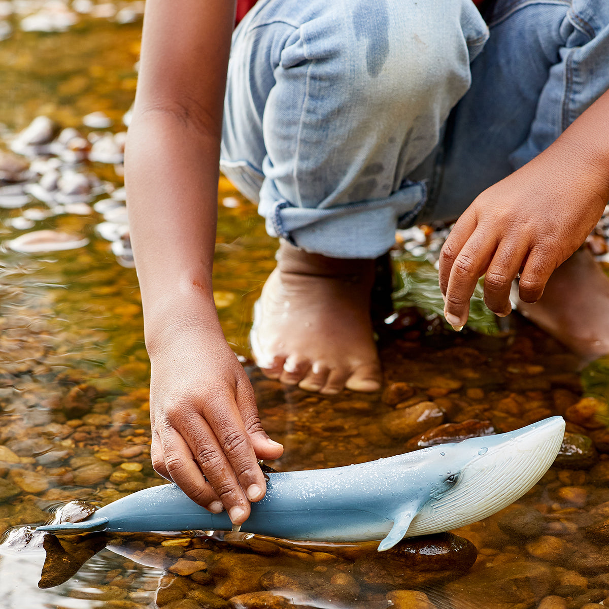https://cdn.shopify.com/s/files/1/0761/9818/3222/files/Schleich_Lifestyle_BlueWhale_14806_0092_1200x1200_050a24a3-feb7-4a2e-9202-4ab85f254ba2.jpg?v=1695838810
