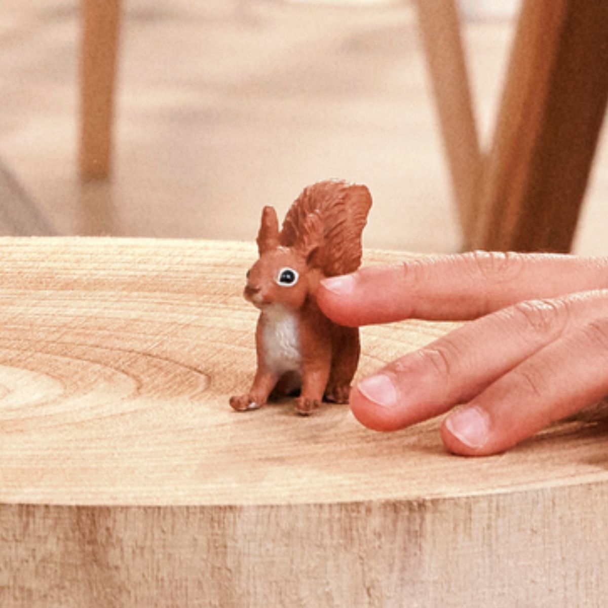 https://cdn.shopify.com/s/files/1/0761/9818/3222/files/Squirrel_1200x1200_f237d393-108a-4c72-a305-58b45f05db3c.jpg?v=1769088710