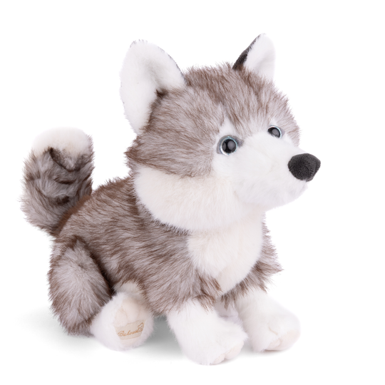 https://cdn.shopify.com/s/files/1/0502/2580/7536/files/SweetHusky3_4.png?v=1772239210