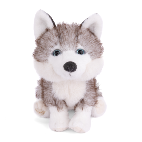 https://cdn.shopify.com/s/files/1/0502/2580/7536/files/SweetHusky.png?v=1772239223