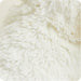 https://cdn.shopify.com/s/files/1/0284/0680/8664/products/White-Dog2045.jpg?v=1759176622
