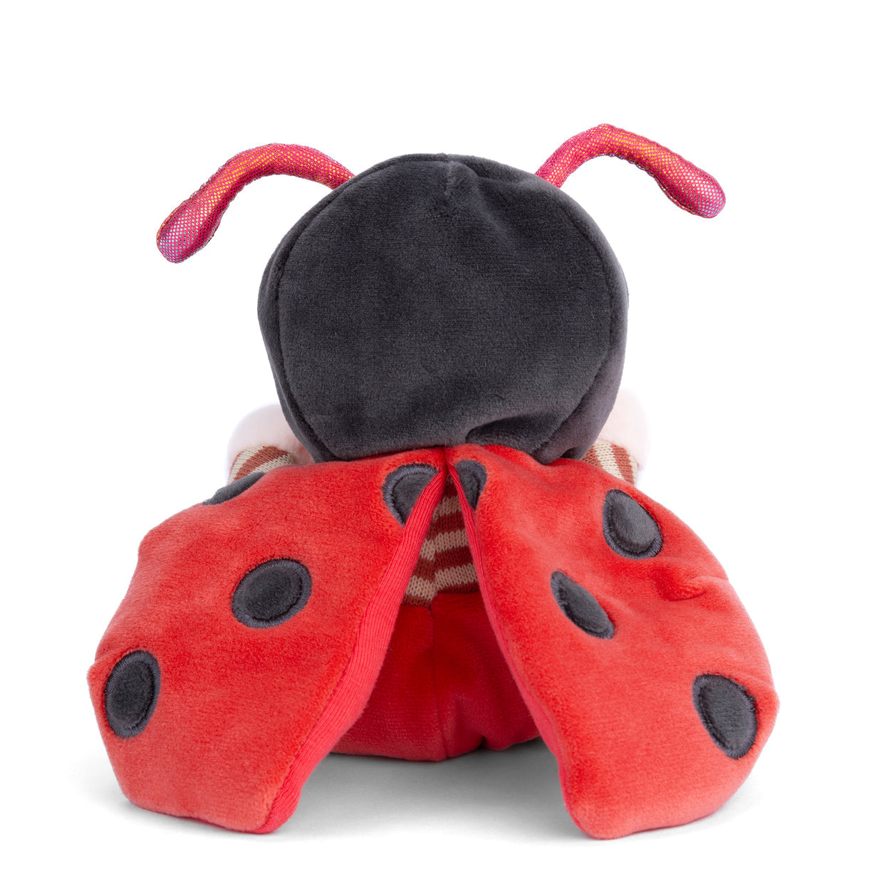 Ziggy Lady Bug