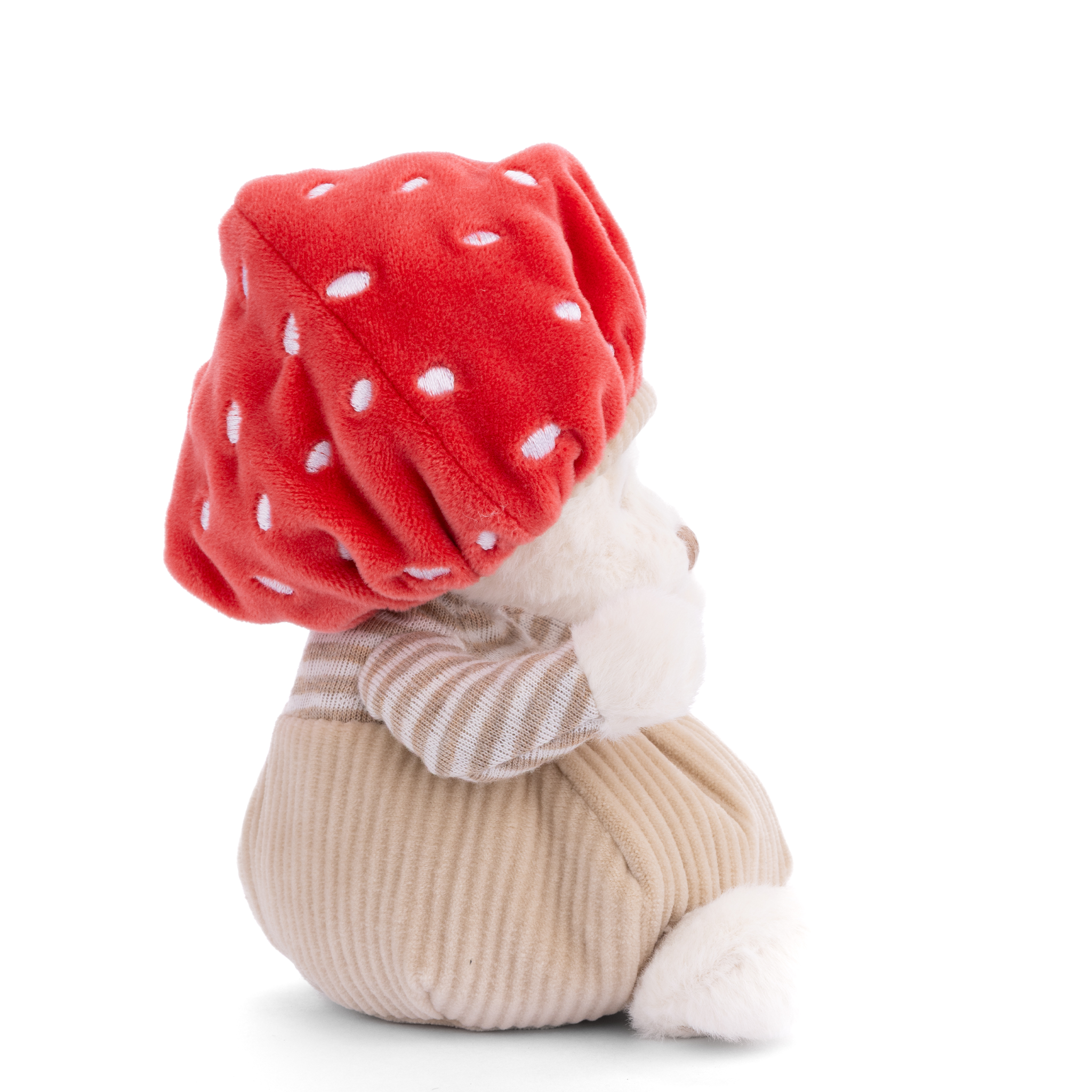 https://cdn.shopify.com/s/files/1/0502/2580/7536/files/ZiggyMushroomSide.png?v=1754608863