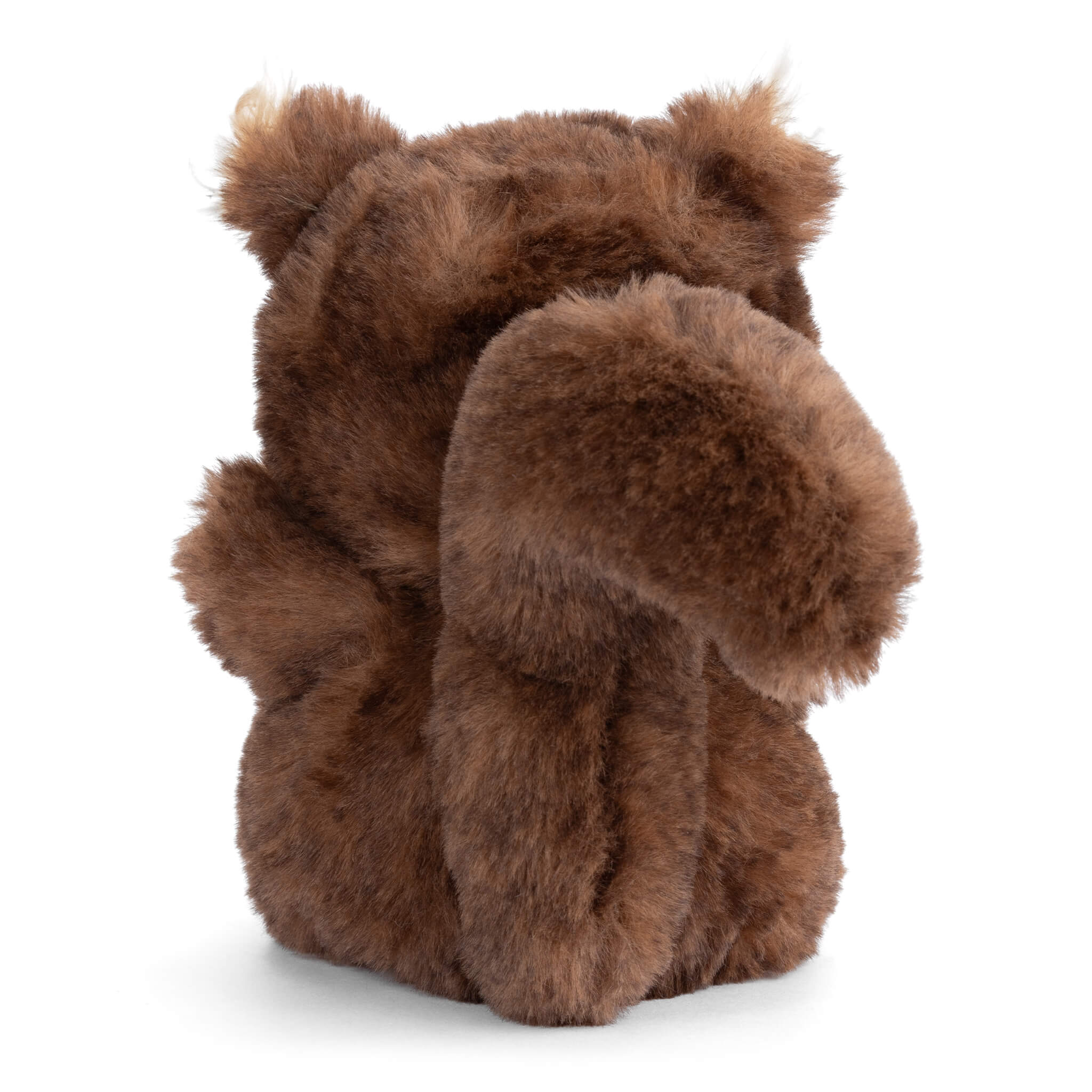 https://cdn.shopify.com/s/files/1/0502/2580/7536/files/Ziggy_Squirrel_Back.jpg?v=1746815023