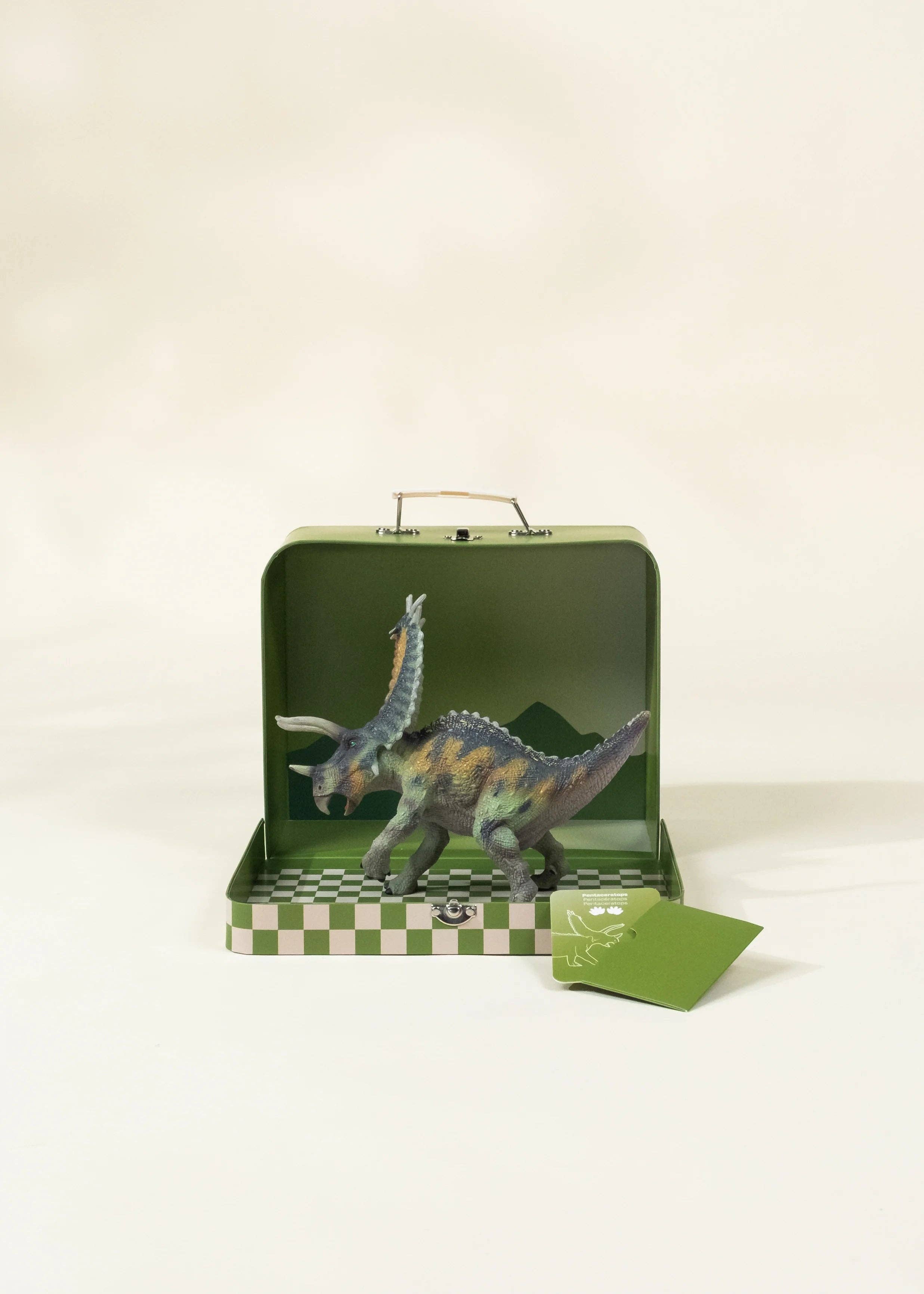 Pentaceratops Dinosaur in a Collectible Box