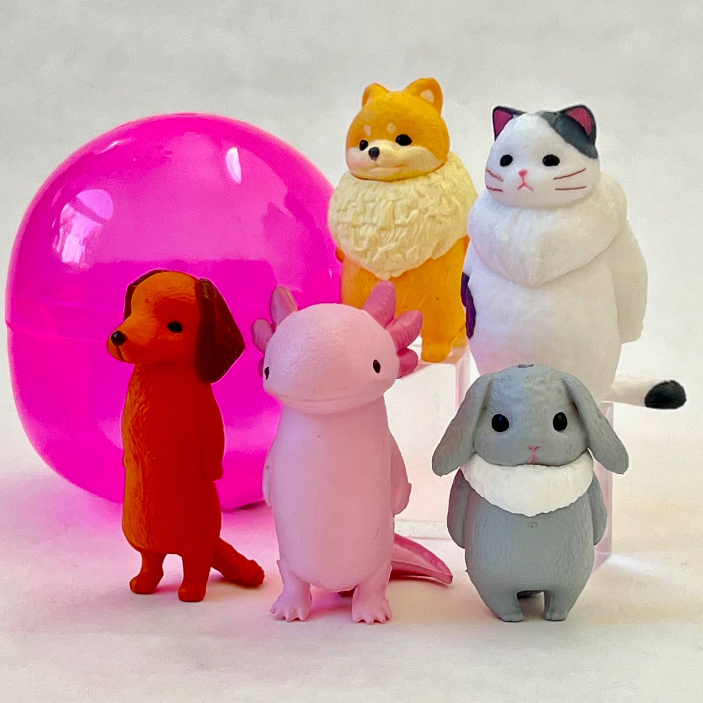Capsule Animals