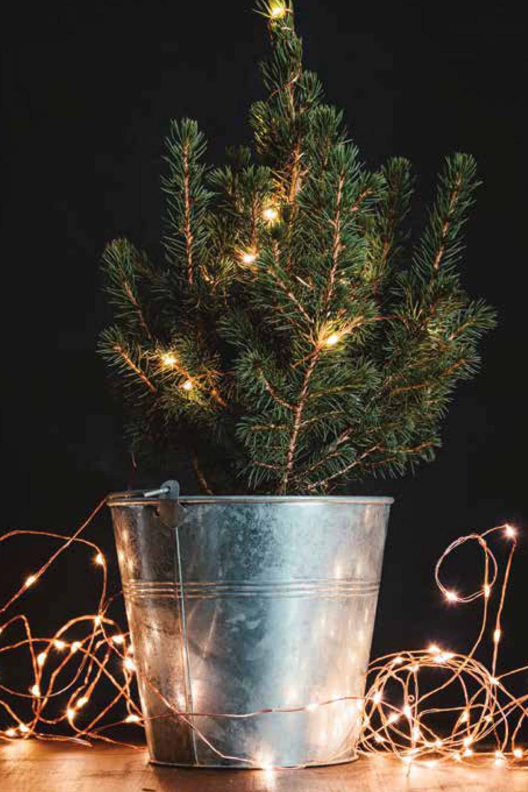 Lumin Essence Copper Wire Mini Lights 17ft 50 LED USB