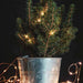 Lumin Essence Copper Wire Mini Lights 17ft 50 LED USB