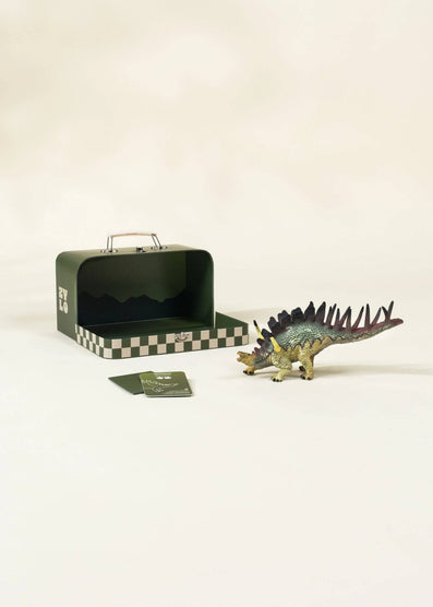 Kentrosaurus Dinosaur in a Collectible Box