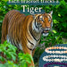 Fahlo The Prowl Bracelet Tiger's Eye Tracking Jewelry