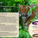 Fahlo The Prowl Bracelet Tiger's Eye Tracking Jewelry