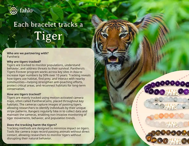 Fahlo The Prowl Bracelet Tiger Royal Purple Elastic