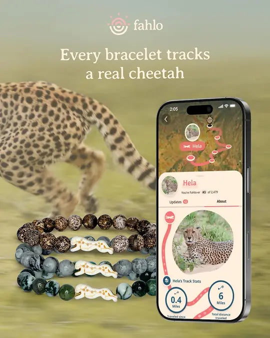 Fahlo The Sprint Bracelet Cheetah Cloudburst Elastic Beaded Jewelry