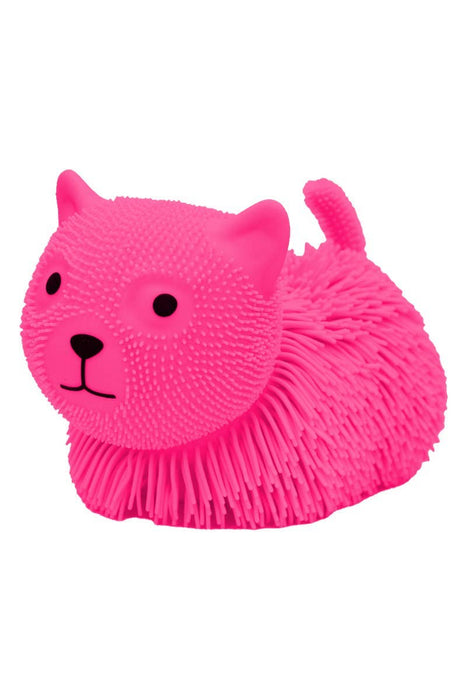 Jumbo Kitty Cat Spiky Puffer Led Squishy