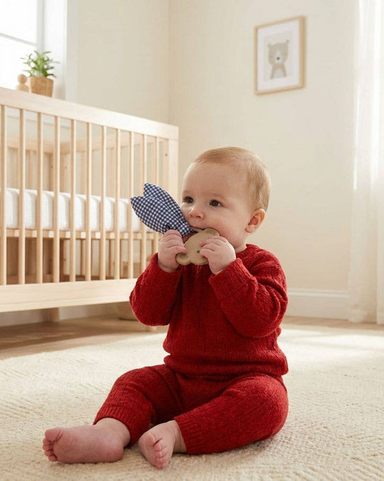 Bear Crinkle Crew Infant Teether