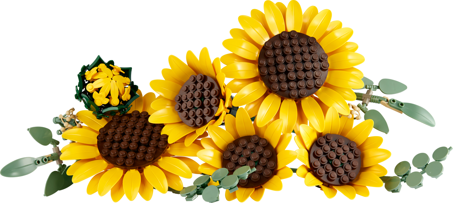 https://www.lego.com/cdn/cs/set/assets/blt212b362b828622c3/blt1c33118501c8da2f-11502_Prod_en-gb.png