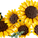 https://www.lego.com/cdn/cs/set/assets/blt212b362b828622c3/blt1c33118501c8da2f-11502_Prod_en-gb.png