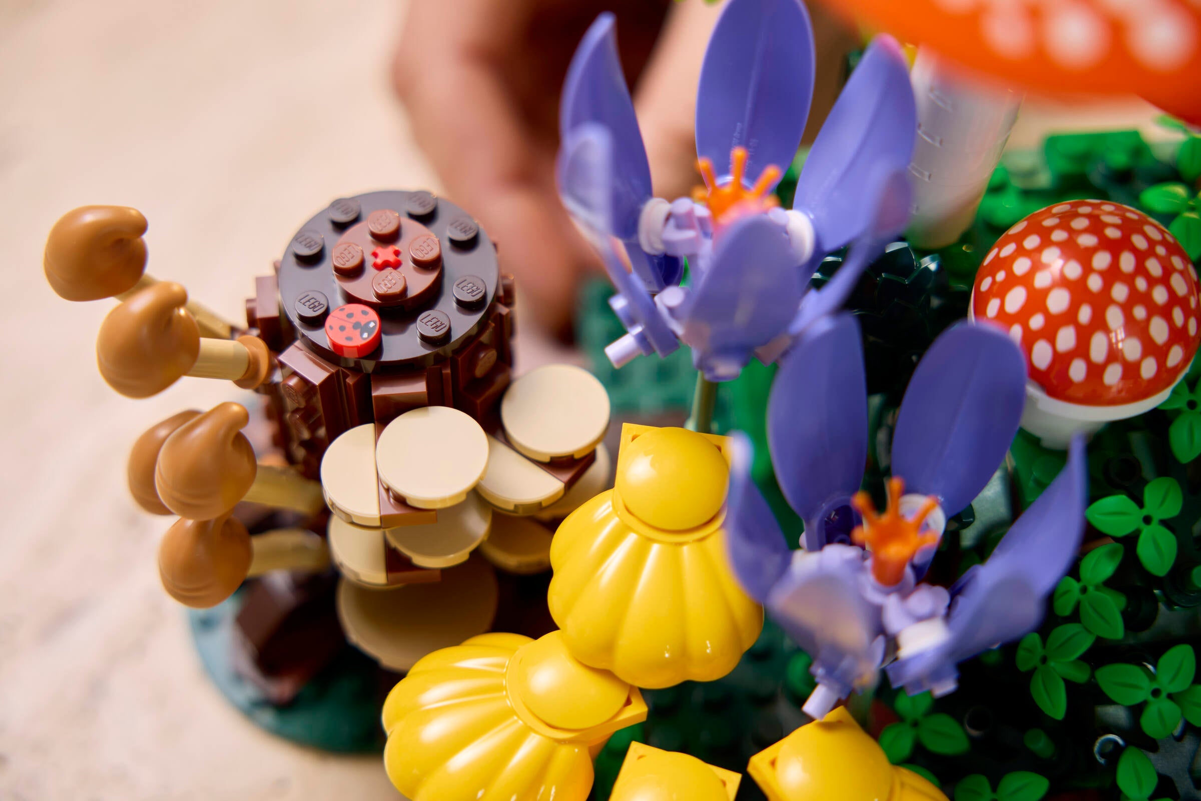 LEGO Woodland Mushrooms Building Kit 806 Pieces