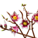 https://www.lego.com/cdn/cs/set/assets/bltba0c51d0e0229c10/bltf1012114bd36e2ac-11510_WEB_SEC01_NOBG.png