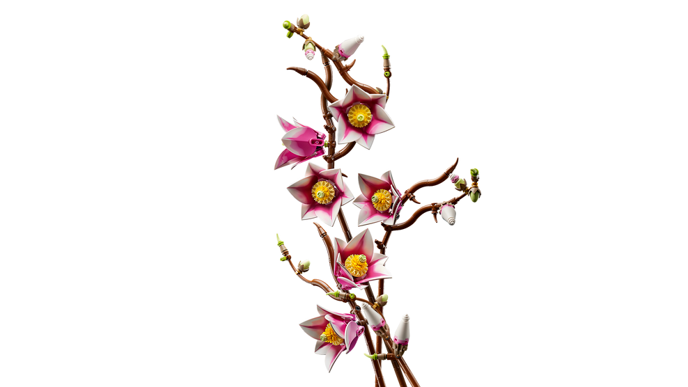 https://www.lego.com/cdn/cs/set/assets/blt6f4a3ceab894dd73/bltf1012114bd36e2ac-11510_WEB_SEC02_NOBG.png