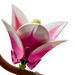 https://www.lego.com/cdn/cs/set/assets/blta51f2171e04e8a50/bltf1012114bd36e2ac-11510_WEB_SEC03_NOBG.png