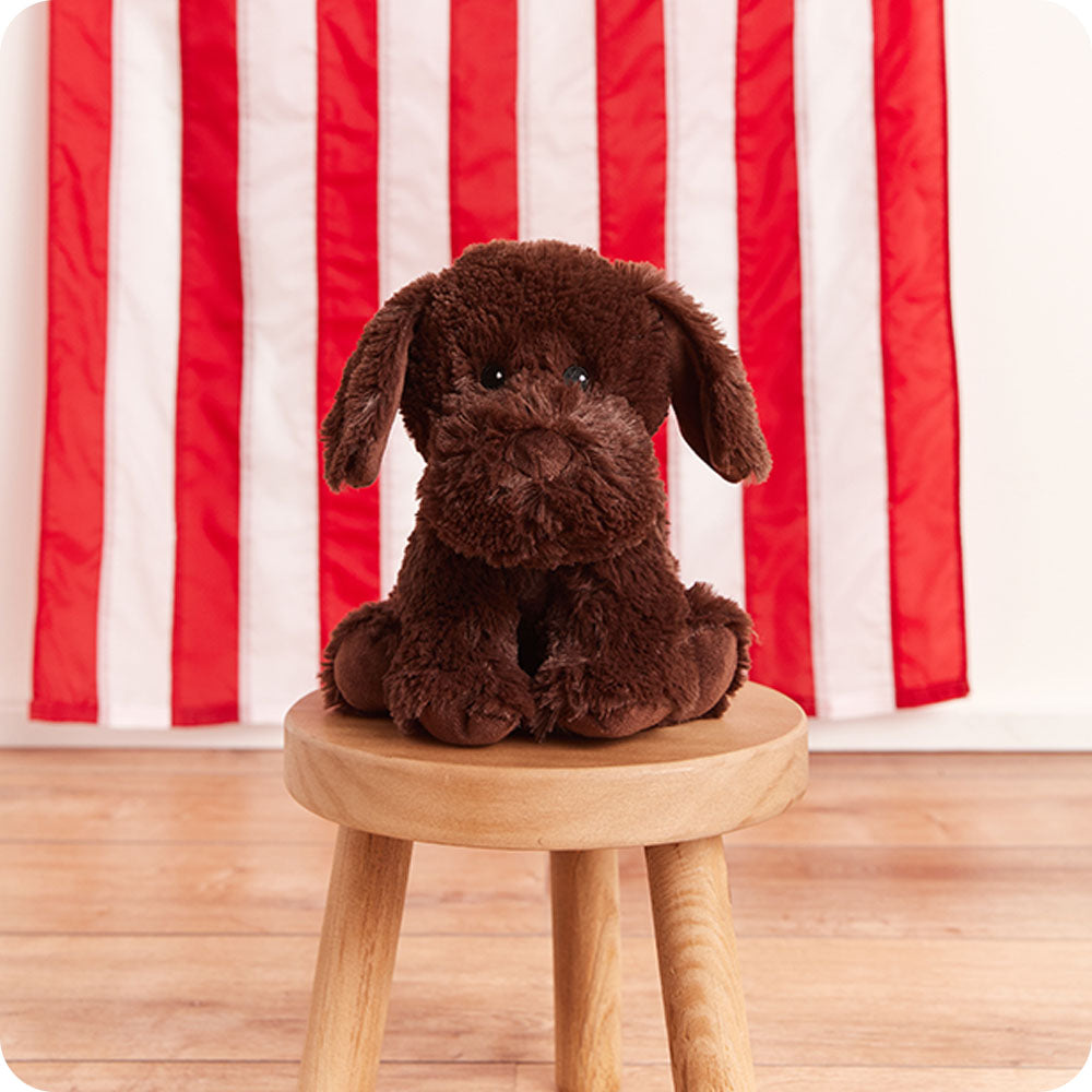 Warmies Chocolate Lab