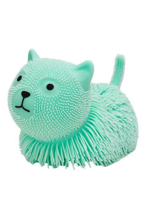 Jumbo Kitty Cat Spiky Puffer Led Squishy