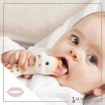 Sophie Giraffe Teether