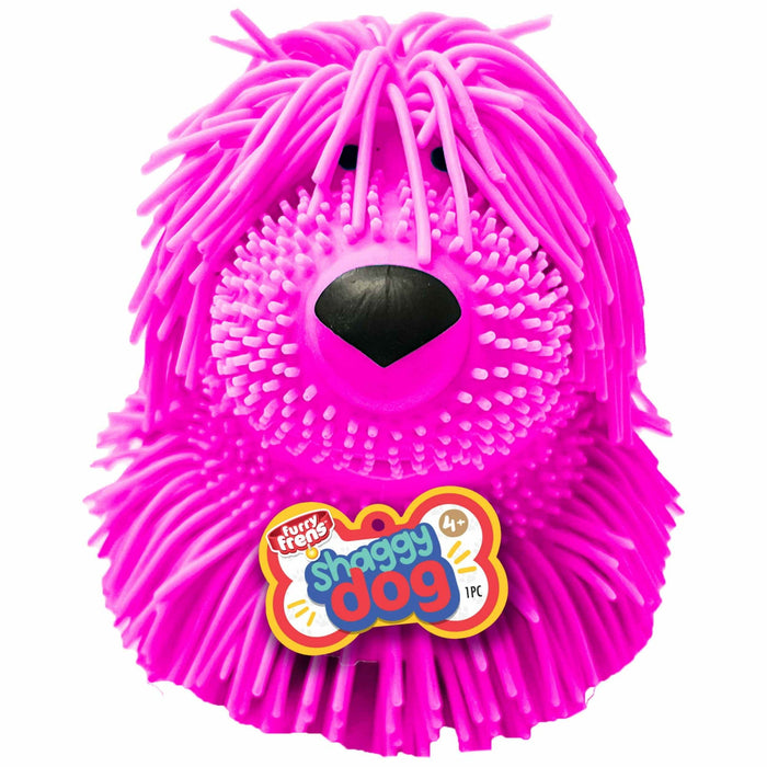 Furry Friend Shaggy Dog
