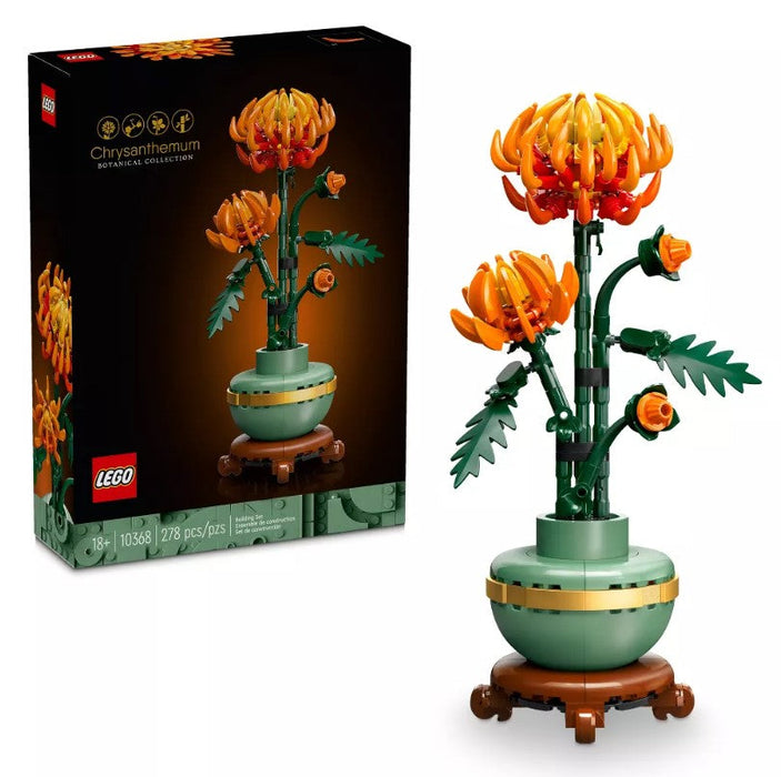 Chrysanthemum Flower