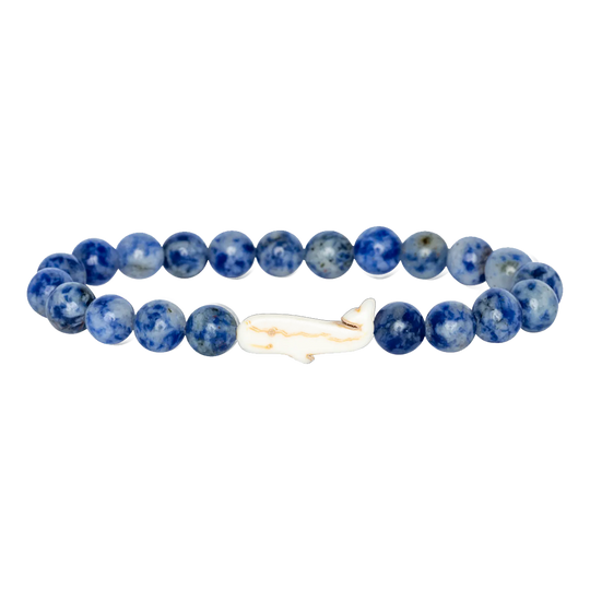 Fahlo Wayfare Whale Tracking Bracelet: Coastal Blue