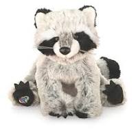 Racoon Webkinz