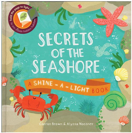 Secrets of the Seashore