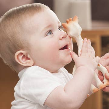 Sophie Giraffe Teether