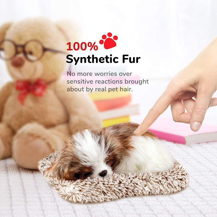 Mini Shih Tzu