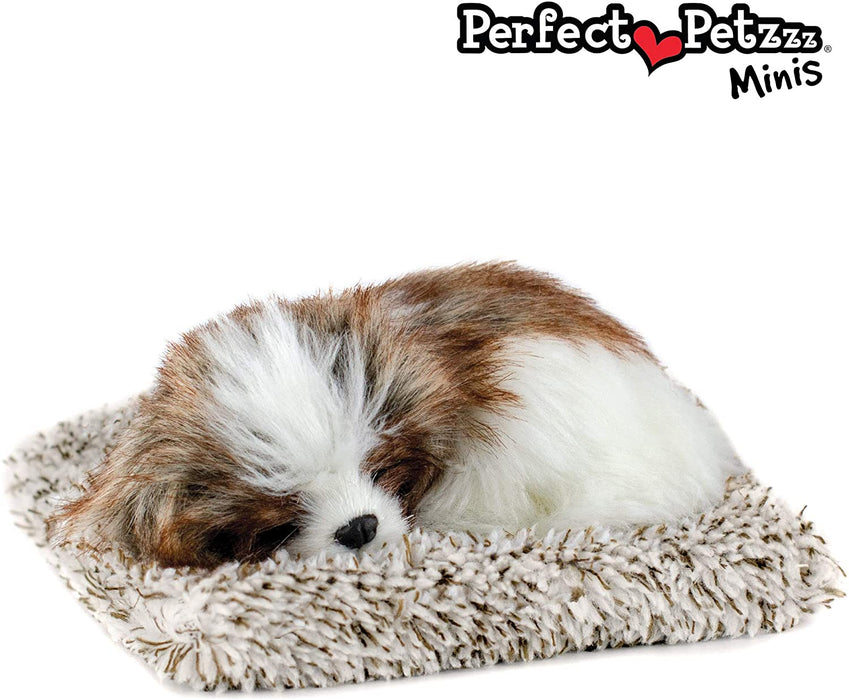 Mini Shih Tzu