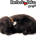 Black Lab