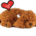 Toy Poodle