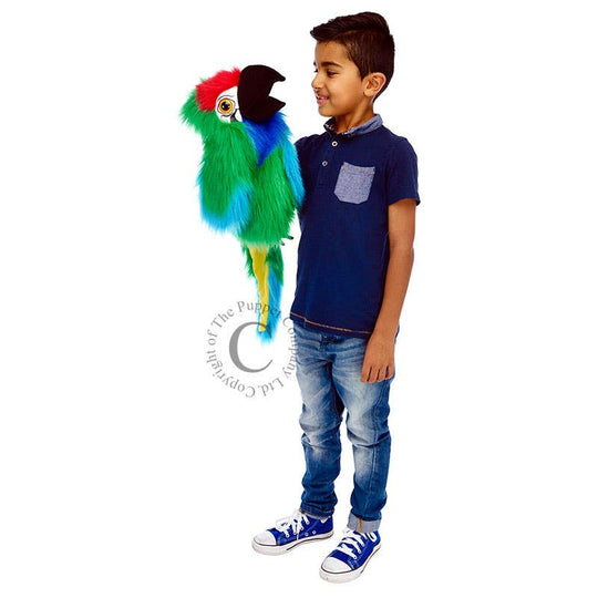 Large Birds: Military Macaw