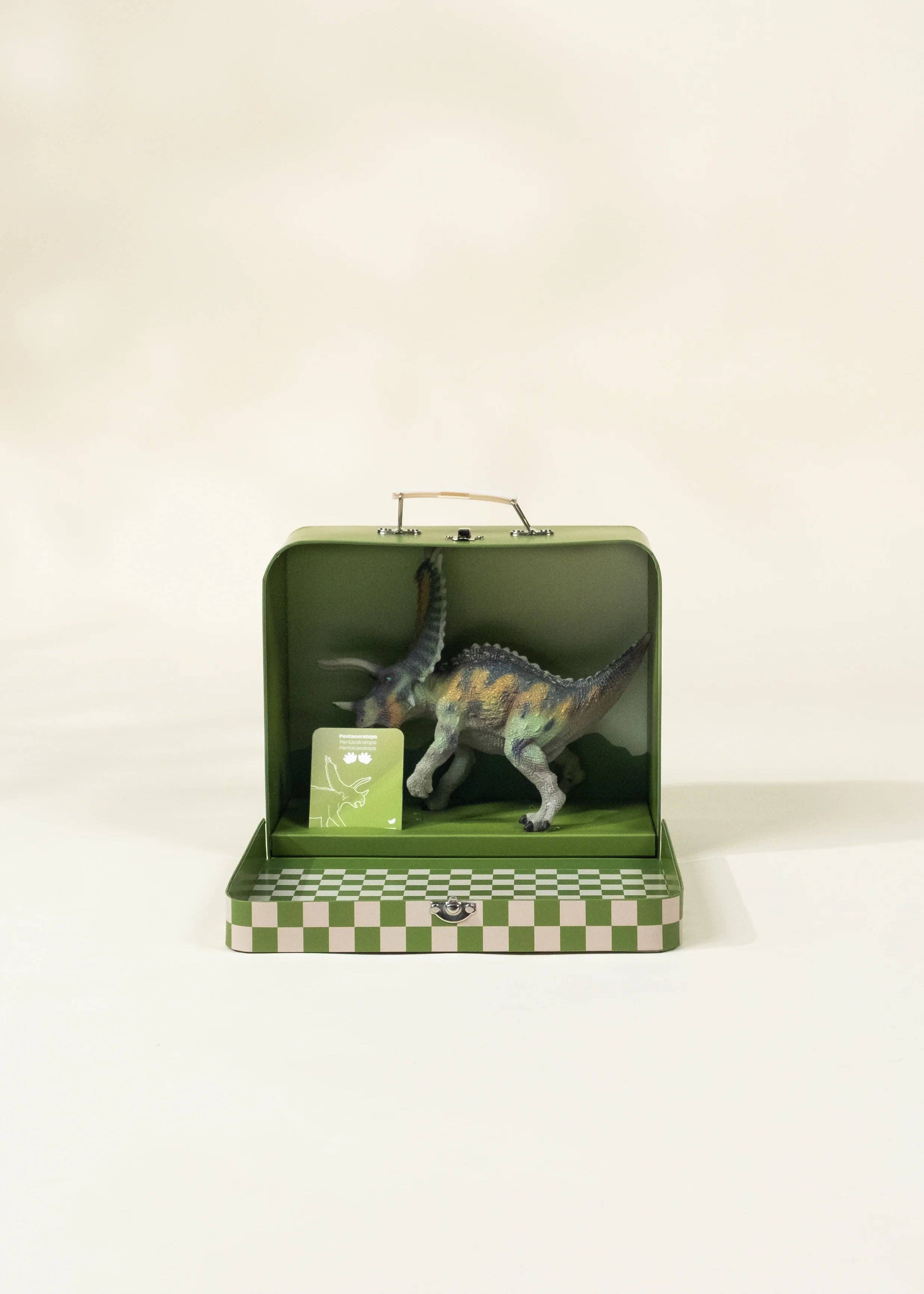 Pentaceratops Dinosaur in a Collectible Box