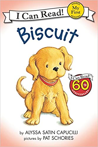Icr Biscuit