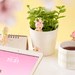 Sonny Angel HIPPERS Cherry Blossom Series Blind Box Mini Figure