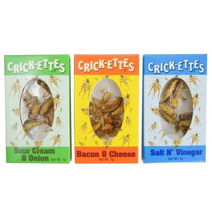 Hotlix Candy Crick-ettes Snax Flavored Insects 24 Count Box