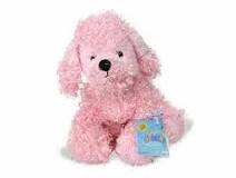 Pink Poodle Webkinz