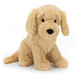 Tilly Golden Retriever