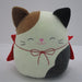 Halloween Cat Red Cape