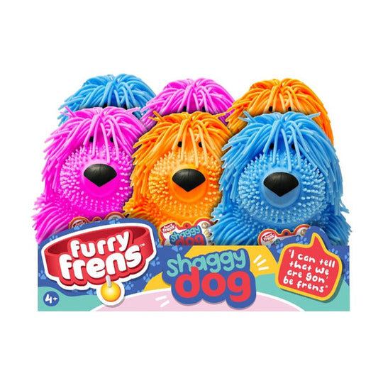 Furry Friend Shaggy Dog