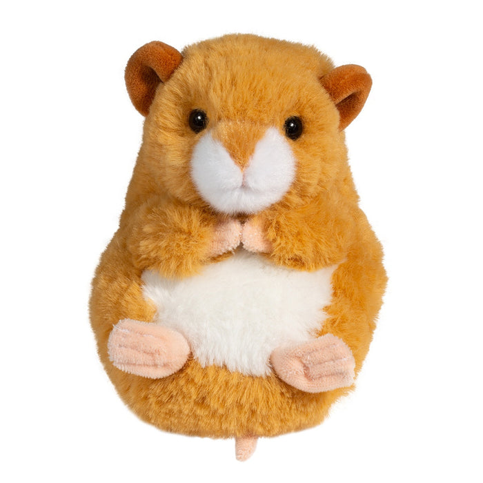 Lil Baby Hamster