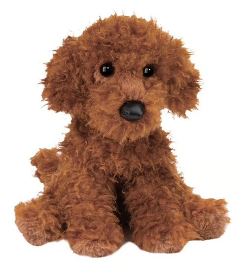 Ginger Miniature Poodle
