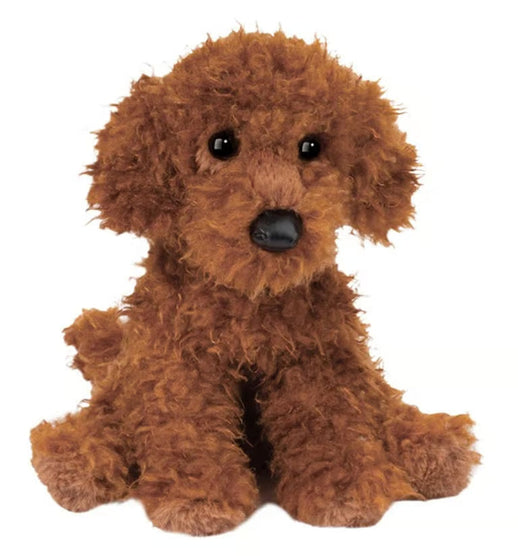 Ginger Miniature Poodle